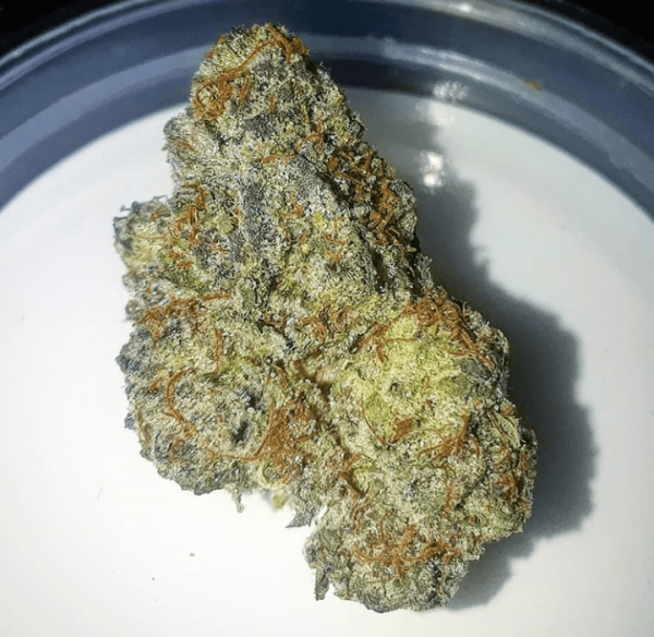 20190604_142835 Grape Jelly Donut