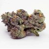 White Guava Gelato