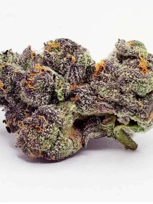 White Guava Gelato
