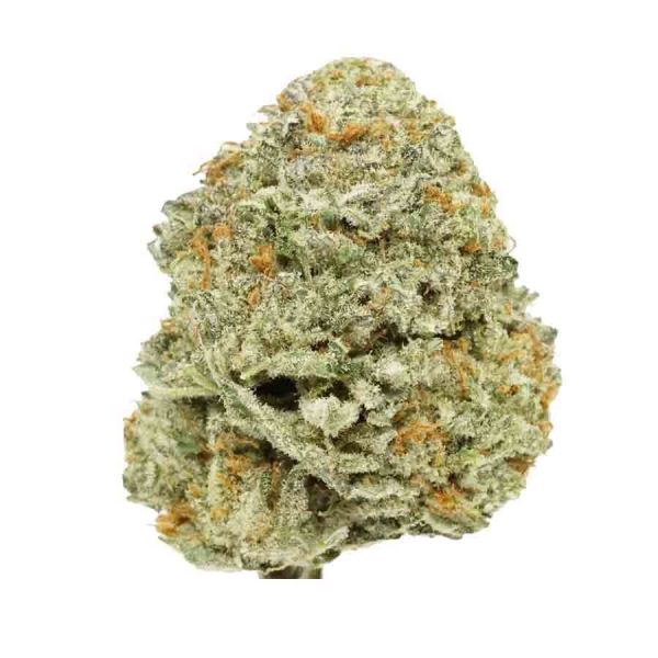 Blue-Gelato-41-Strain Blue Gellato