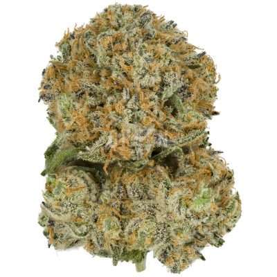 Blue-Gelato-41-by-Barneys-Farm-400x400 Blue Gellato