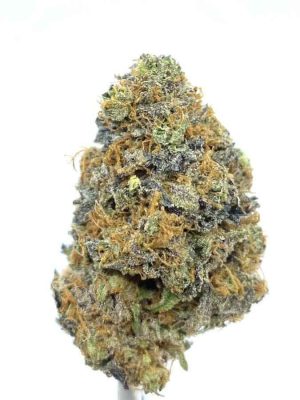Blueberry AK