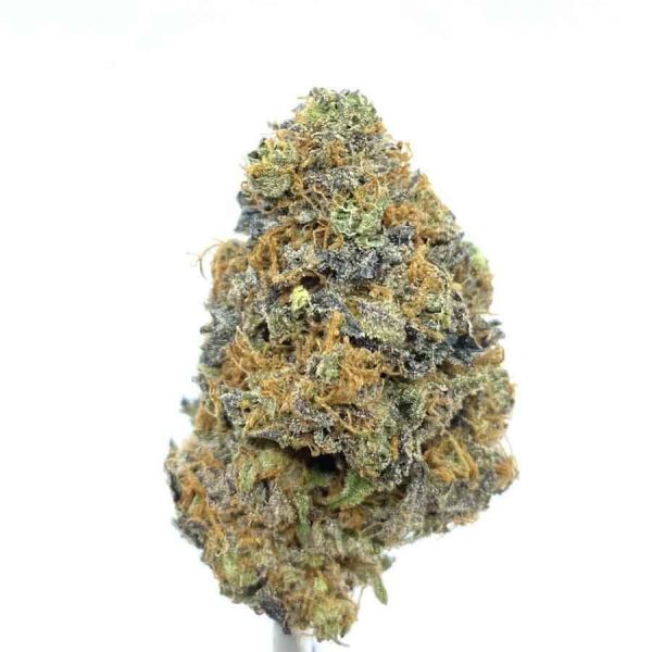 Blueberry-AK Blueberry AK