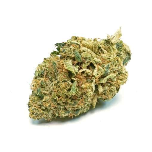 Orange Bubba