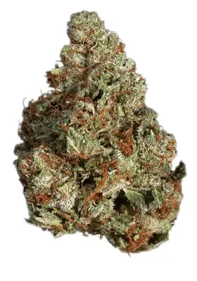 Orange Bubba