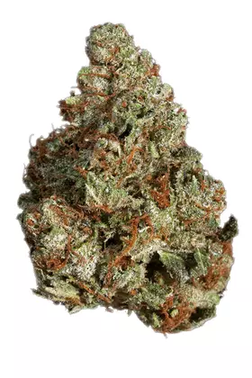 Orange Bubba