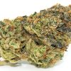 Dolph Gelato