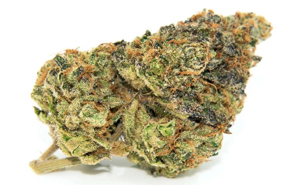 Dolph Gelato