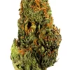 Dolph Gelato