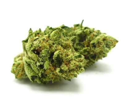 LDSherbet1000-405x330 Sour diesel