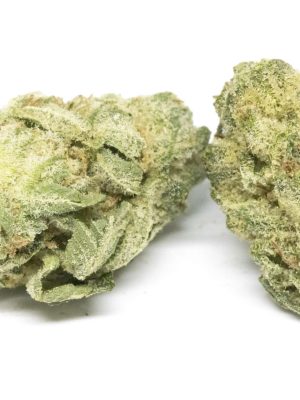 Melon Mints