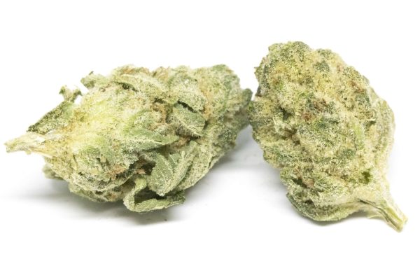 Melon Mints