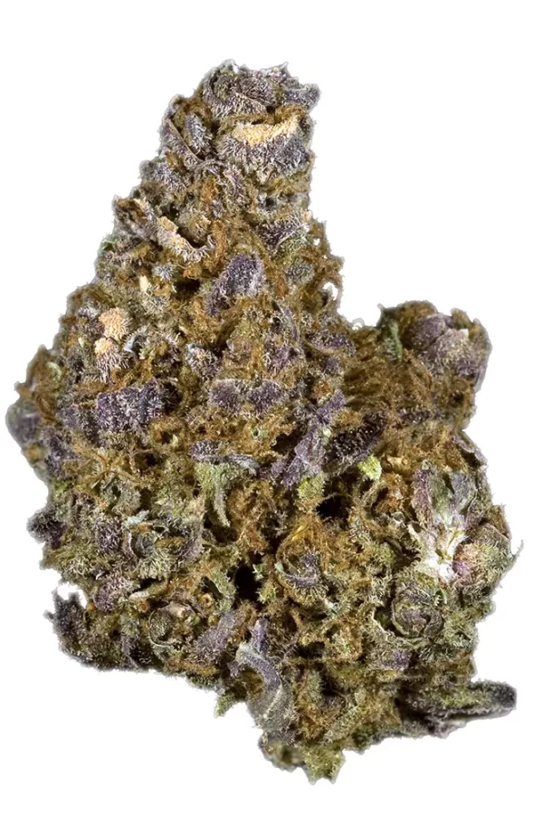 Mendo-Purps Mendocino Purps