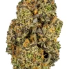 Platinum Dream
