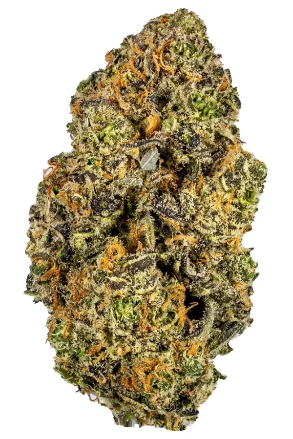 Platinum-Blue-Dream Platinum Dream