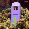 Alien Labs Live Resin Disposable Pen