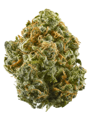 Platinum Dream