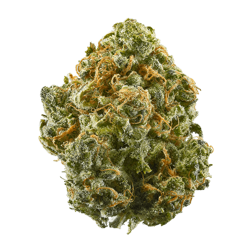 blue-dream Platinum Dream