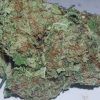 Blueberry AK