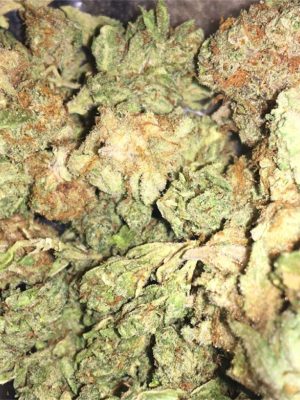 Blueberry Kush