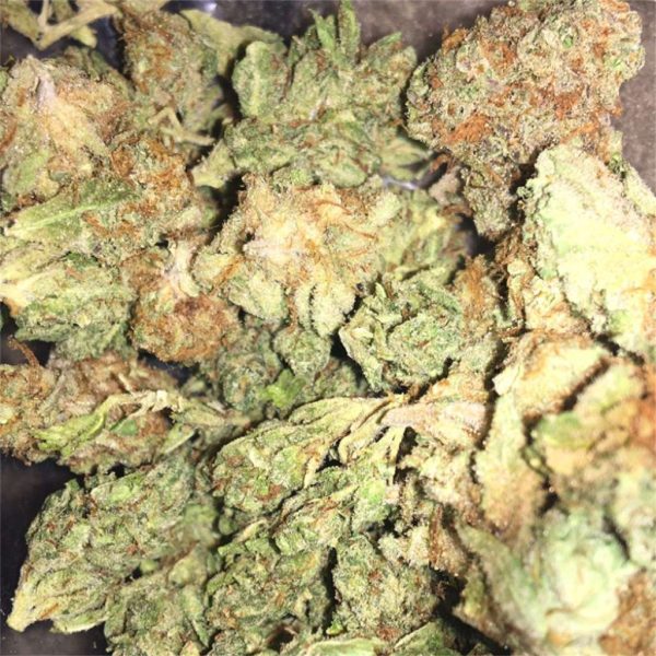 Blueberry Kush