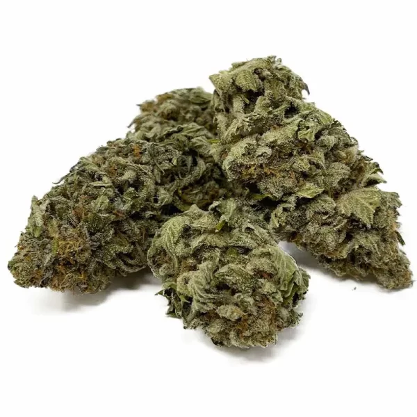 Orange Bubba