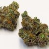 Apple Fritter Strain