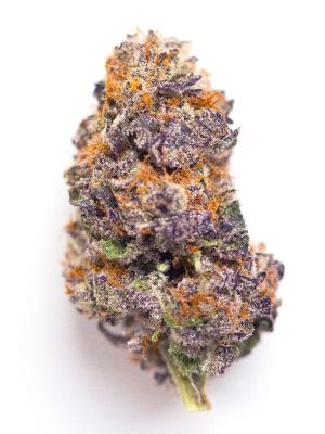 Pink Candyland