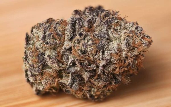 ghousedc.com+lemon+cherry+gelato+strain+weed Lemon Cherry Lato