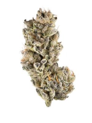 purple-punch-fixed Purple Punch