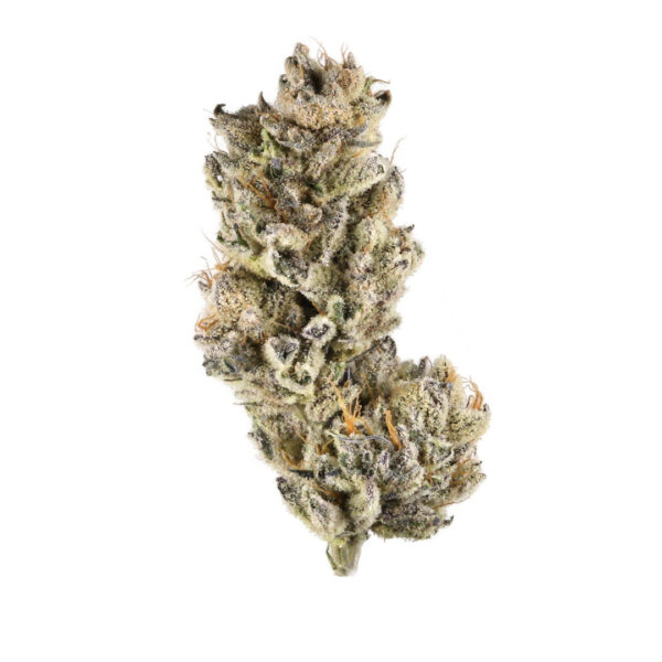purple-punch-fixed Purple Punch