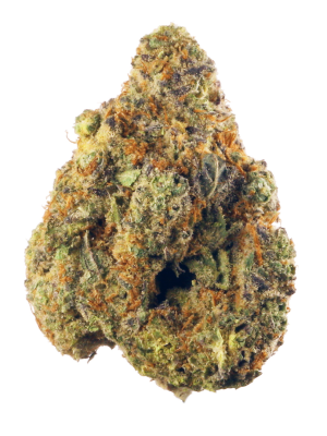 Afghan Kush
