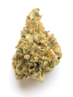 Blue Rhino