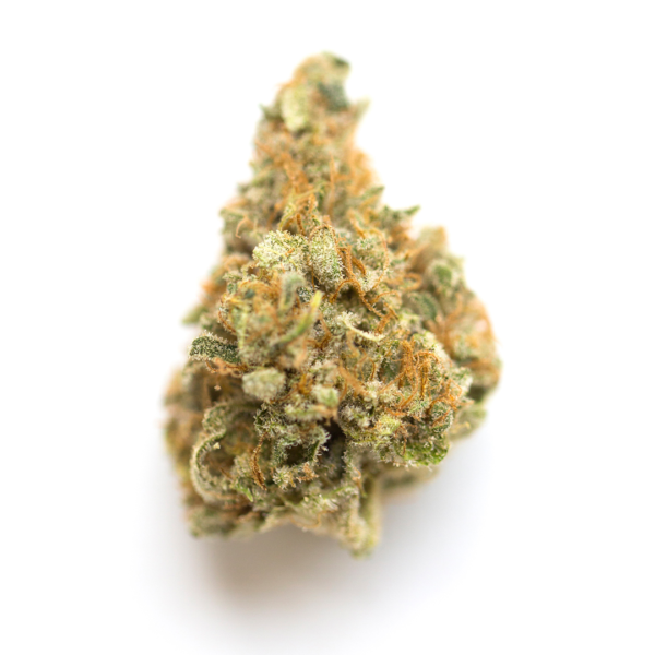 strain-19 Blue Rhino