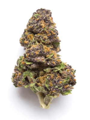 strain-2 Agent Orange