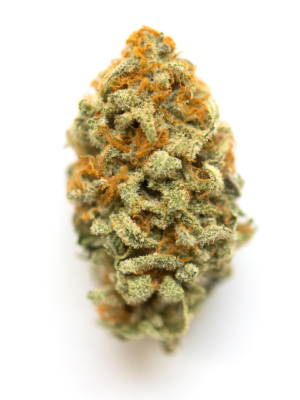 GMO Cookies