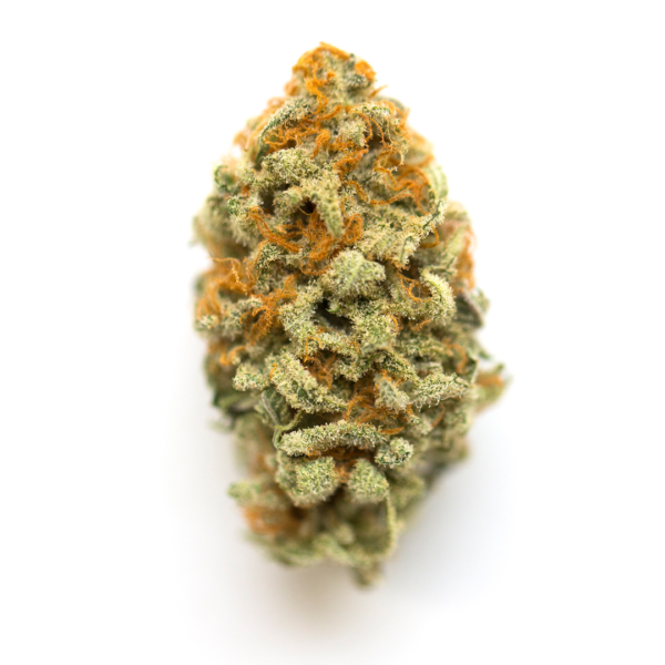 strain-2 GMO Cookies