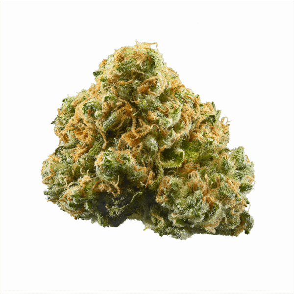 strain-23 Banana Gelato Strain