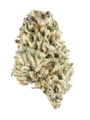 Gorilla Goo