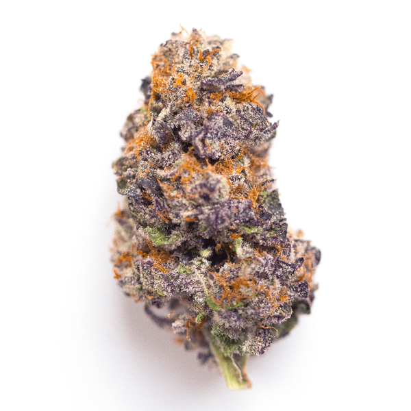strain-7 Mendocino Purps
