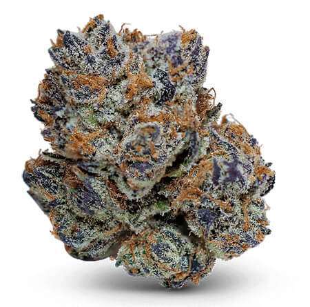 Samoa Cookies