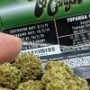 Topanga Canyon OG