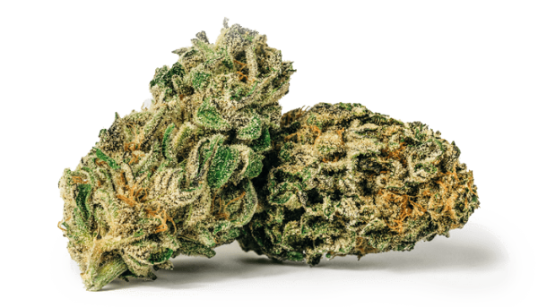 union-electric-bud-garanimals-indica Granimals