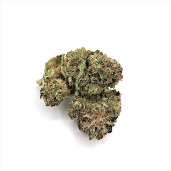 z167DjFSQcapzYQwusOz_gorilla cookies Pop Tarts