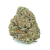 Nuken Strain