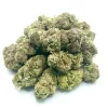 Gods Green Crack