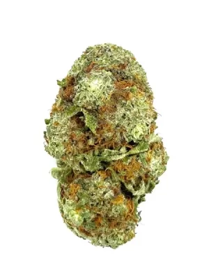 Gods Green Crack