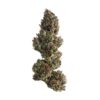 100 Runtz Strain