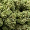 Yoda OG Strain