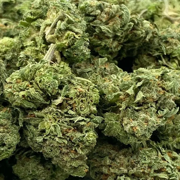 11-yoda-claw-2-1.webp Yoda OG Strain